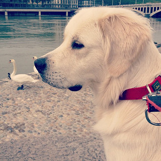 GASPARDQUAI