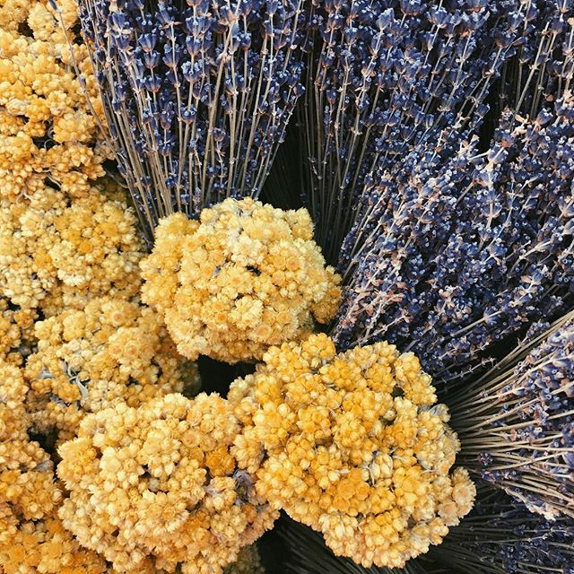 Lavande et immortelle 💛💜