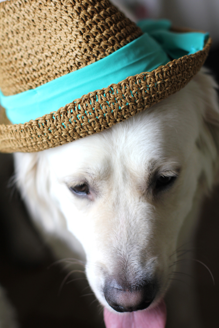 CHAPEAU_H&M_3_GASPARD