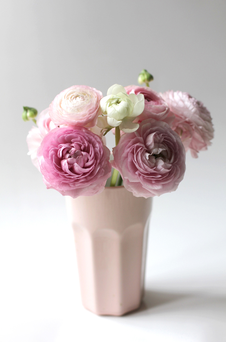 FLEURS_ROSES_RENONCULES_1