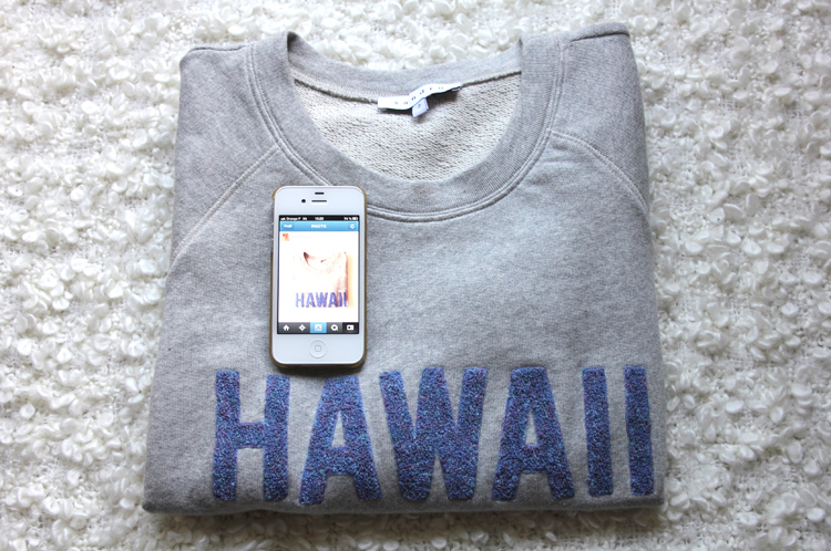 SWEAT_HAWAII_SANDRO_2
