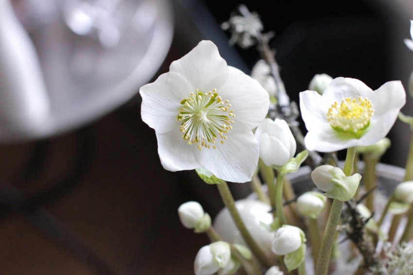 FLEURS_CLESA_FLEURISTE_LYON_5