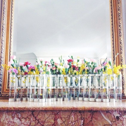 VASE_AVRIL_TSE_STE