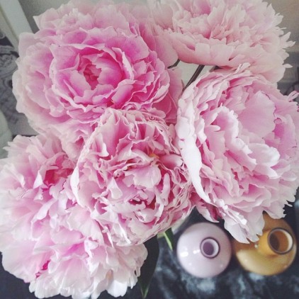 PIVOINES_BOUQUET