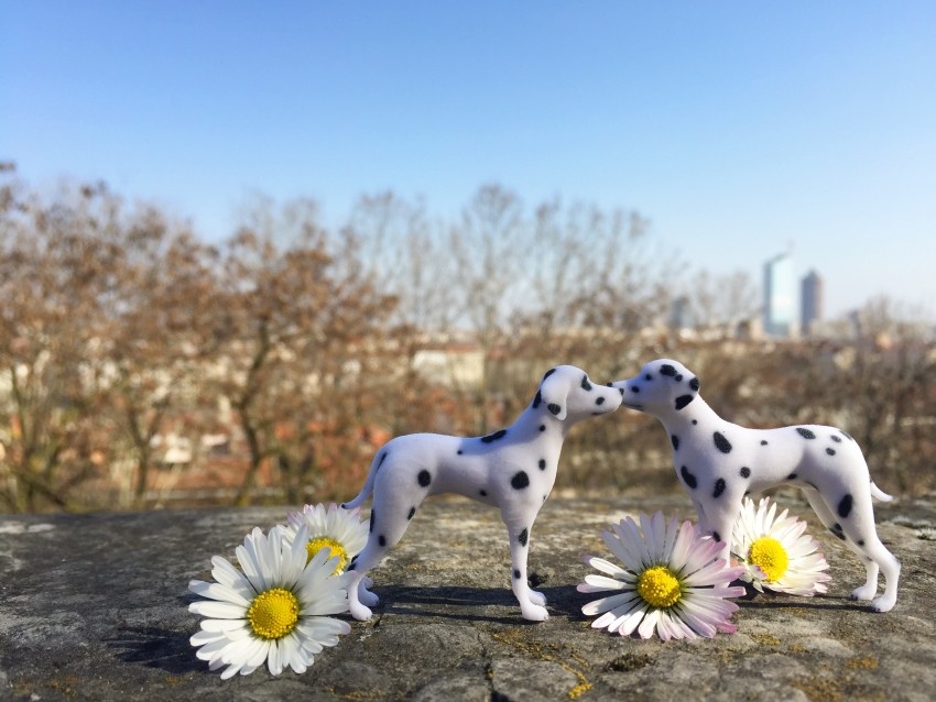 LA_ROCHE_POSAY_SKIN_CHECKER_DALMATIENS