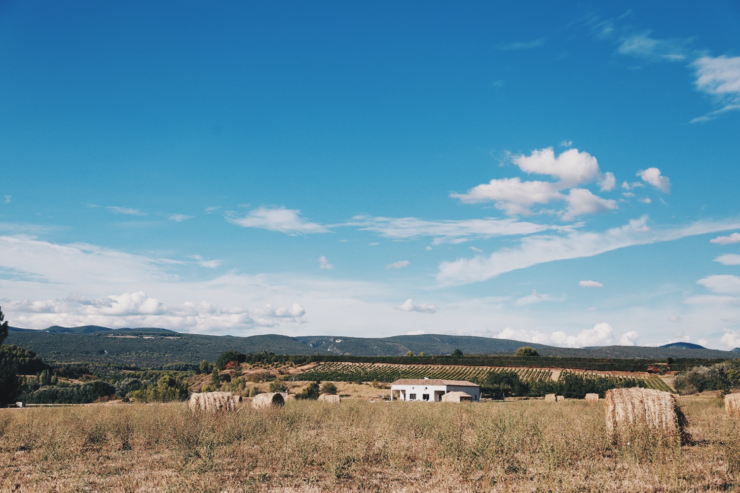 Processed with VSCO with hb2 preset